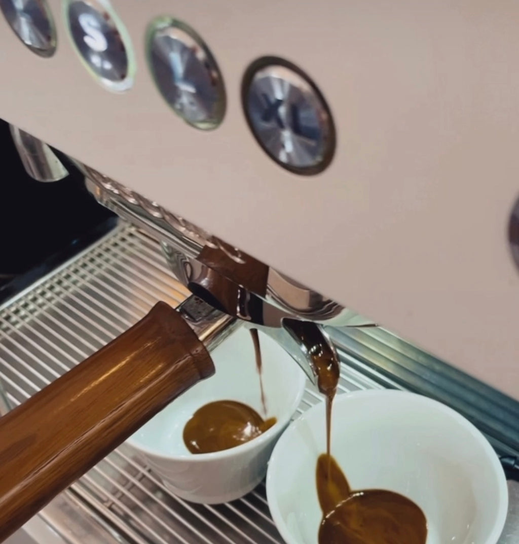 BARISTA - WORKSHOP - Latte Art für Einsteiger