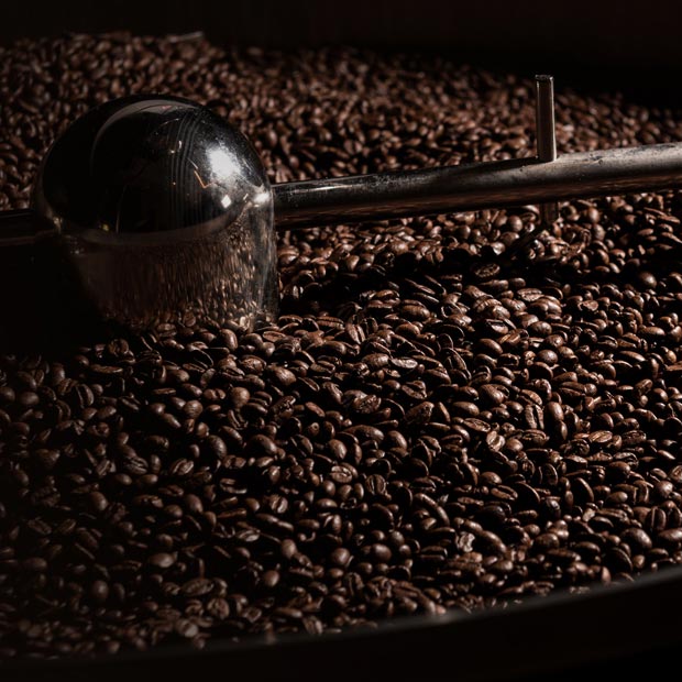 MAXBEAN BIO BALANCE Filterkaffee 250g